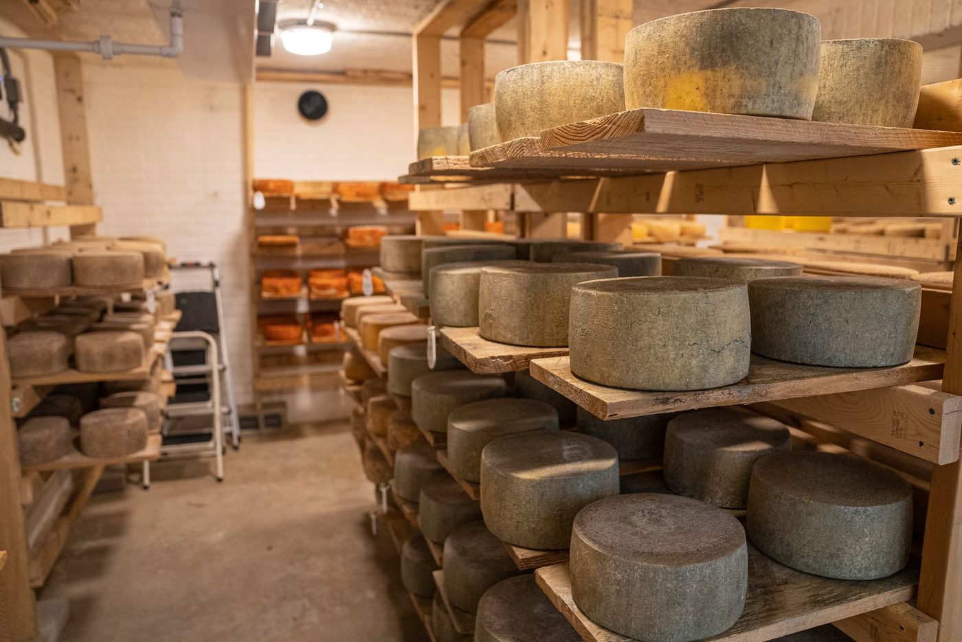 Meules de fromage en cave d'affinage au Cellier Mermoz à Mermoz, Dakar